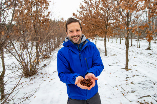Appalachian Truffle Trees Quantity 100 Custom Orders CAD $ 8,500 + HST