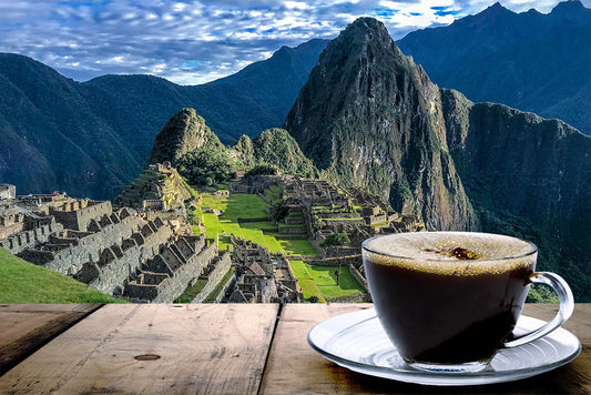 Coffea Arabica 1 Gallon/3.8 Liter Potted Dwarf Tree Plant