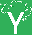 Chestnut Tree Châtaignier Castanea v. dentata x mollissima 1 Gallon/3.8 Liter Air Pruned using RootMaker®