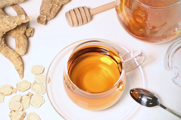 Hello-Cha American Ginseng 1 Gallon/3.79 Liter Pot